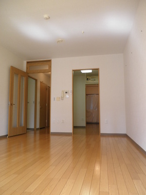 Living and room. Typical indoor photo. Effortless all-flooring of cleaning