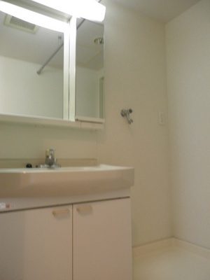 Washroom. Typical indoor photo. There is a separate vanity slowly able to get dressed