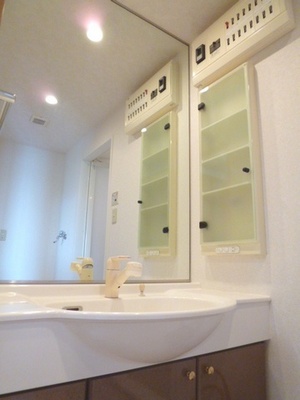 Washroom. The large vanity mirror There is also storage rack