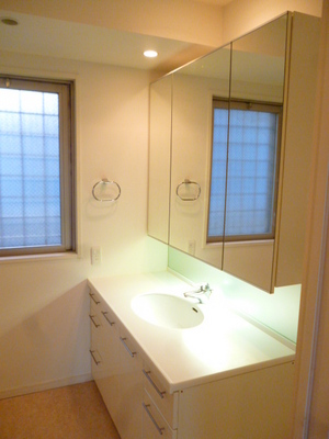 Washroom. Wide basin space with a ventilation window (linen space available)