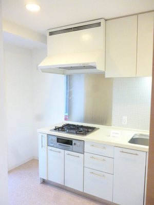 Kitchen. Large kitchen space ・ Put cupboard firmly ・ There is also a back door