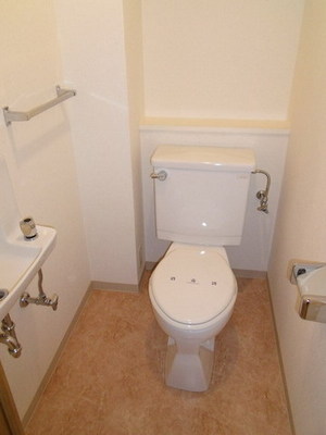 Toilet. Wash basin with separate toilet