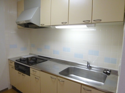 Kitchen. Typical indoor photo. Stand-alone kitchen is convenient to hide even when the visitor