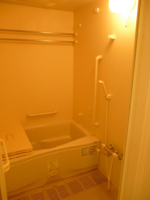 Bath. There Reheating bathroom dryer would not mind your laundry is also possible.