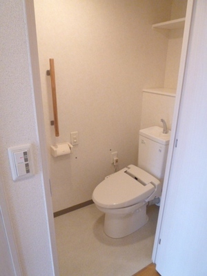 Toilet. There is a washing toilet seat, Full of clean toilet. There is also a handrail.