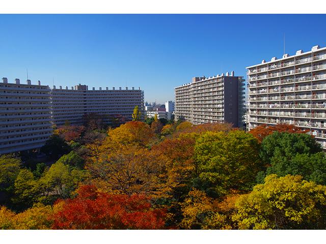 View photos from the dwelling unit. Views can feel the four seasons