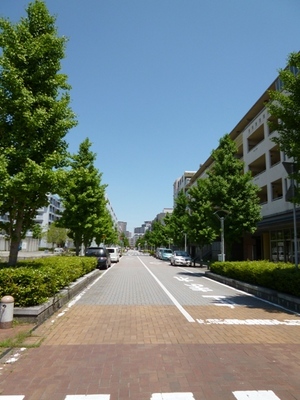 Other. Makuhari Baytown park is also many child-rearing environment favorable