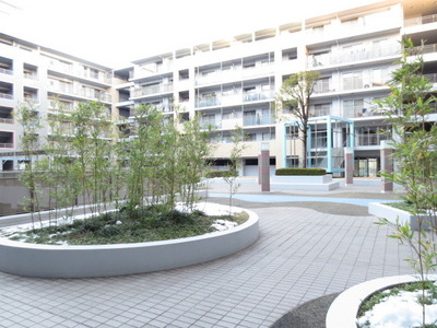 Other. Trees rich apartment courtyard with change of seasons can enjoy