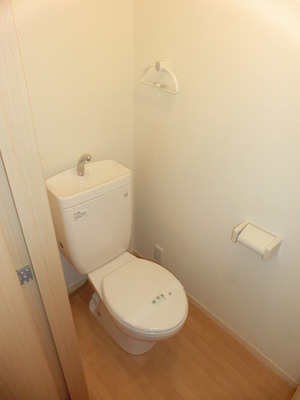 Toilet. Western-style toilet