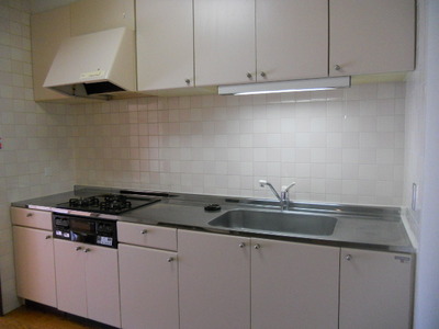 Kitchen. Indoor typical photo. In dishes also fun 3-neck gas stove in the kitchen