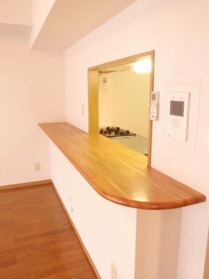 Kitchen. Typical indoor photo. Counters that you can cook while watching the situation