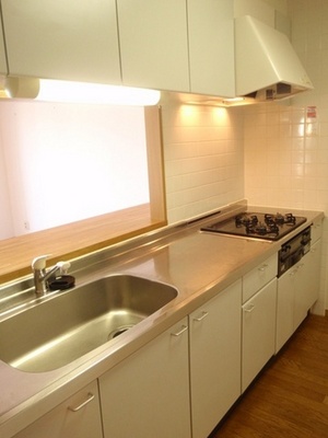 Kitchen. Typical indoor photo. Counter kitchen instinctively want to conversation