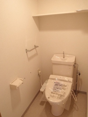 Toilet. Typical indoor photo. There is a convenient storage space in the toilet.