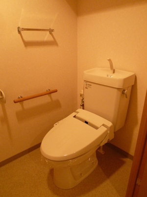 Toilet. Typical indoor photo. There is toilet on each floor. There is also a storage space.