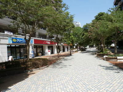 Shopping centre. 100m to the commercial facility of commuting path to the station (shopping center)