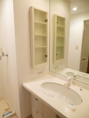 Washroom. There is a separate vanity daily necessities and accessories can also be accommodated.