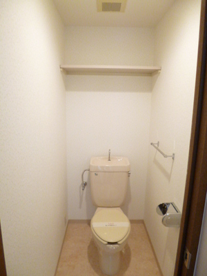 Toilet. There is a convenient useful storage space in the toilet