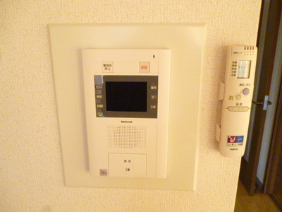 Security. TV monitor with interphone