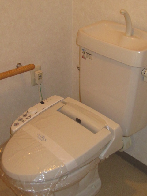 Toilet. Handrail income Cleaning function with toilet seat