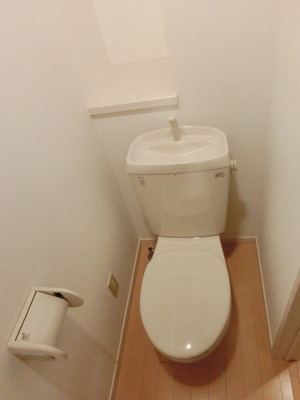 Toilet. Toilet