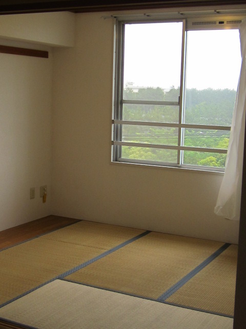 Other room space. Japanese-style room (1)