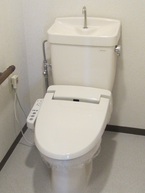 Toilet. Warm water washing toilet seat