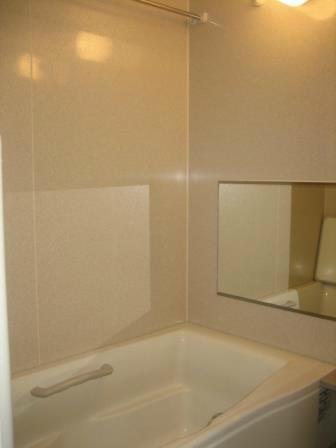 Bathroom. Please heal tired large bathroom