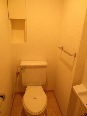 Toilet. There are also storage space in the toilet.