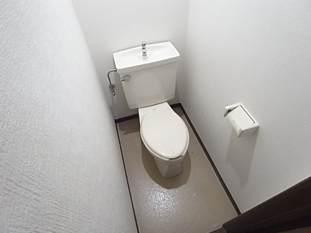 Toilet. It is a toilet with a clean