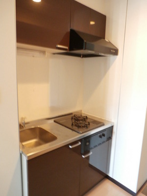 Kitchen. Convenient two-burner stove with a system kitchen to self-catering