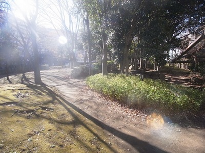 Other common areas. The on-site many green, You can enjoy your walk.