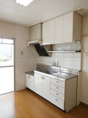 Kitchen. Kitchen storage enhancement is (single lever). 