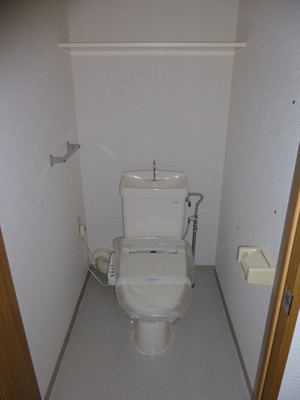 Toilet. Bidet function toilet