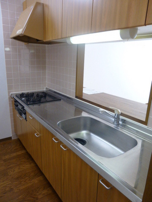 Kitchen. System kitchen ☆ Washing a breeze with wide sink
