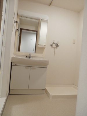 Washroom. Convenient comfortable space is also recommended to the arrangement of the drum-type