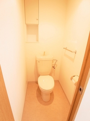 Toilet. Because in the toilet there is a hanging cupboard, It usability is good