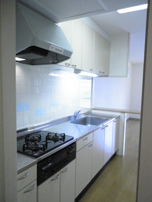 Kitchen. Spacious about 3.6 Pledge of kitchen can be useful with a counter