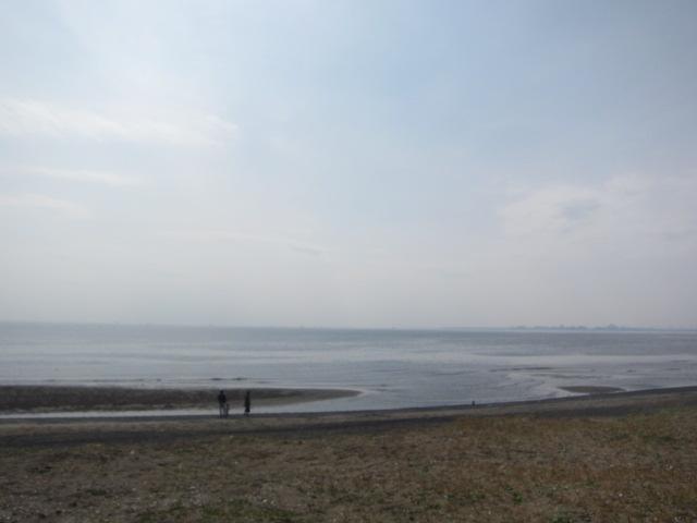 Other. Seaside photo of you. Fireworks display will be in the sea in the summer.