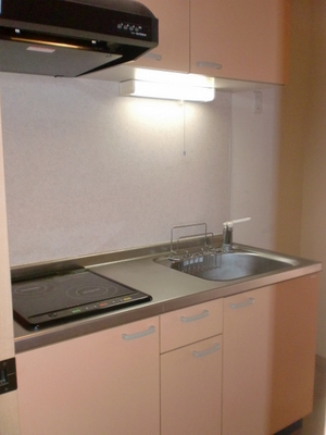 Kitchen. Kitchen is a system kitchen with a 2-neck type of IH heater