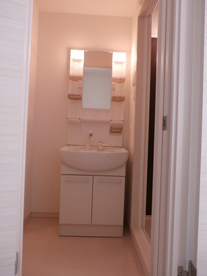 Washroom. Vanity storage space has been enhanced