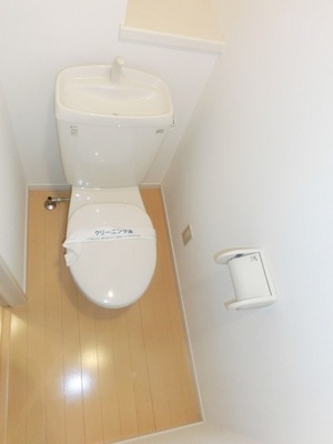 Toilet. Simple toilet