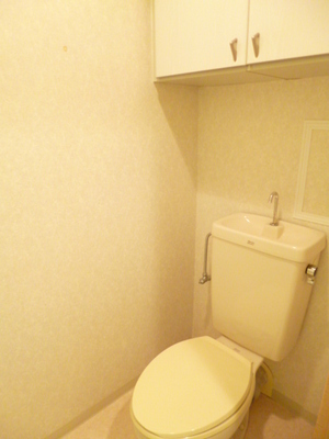 Toilet. Typical indoor photo. Toilet There is also a storage enhance shelf cupboard. 