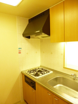 Kitchen. Typical indoor photo. 2-burner stove of face-to-face kitchen where the width of the cooking spread