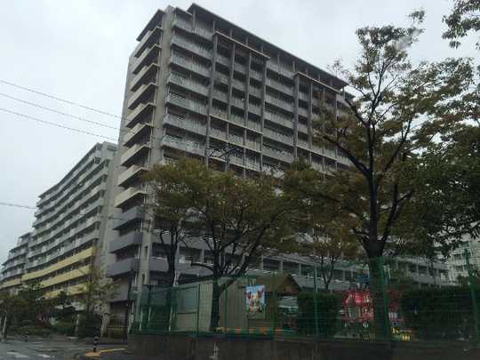 Local appearance photo. Appearance (1)