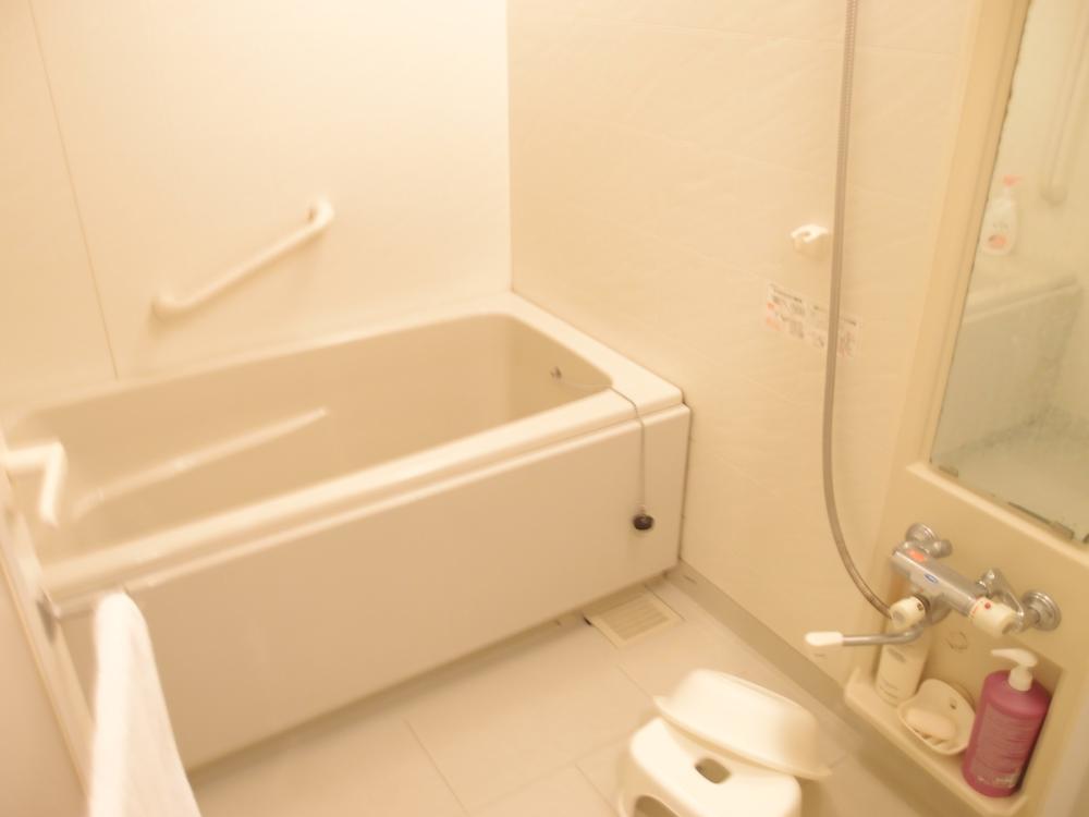 Bathroom. Indoor (February 2012) Shooting It is with a bathroom dryer