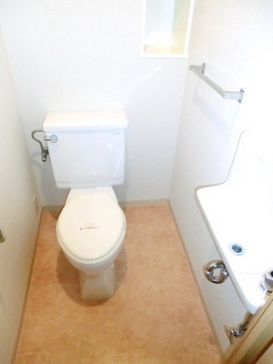 Toilet. Washbasin with toilet