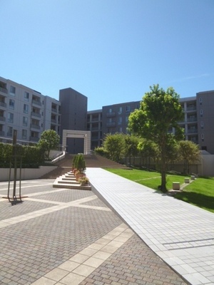 Other. Oishigeri trees, It is the state of the green and beautiful courtyard