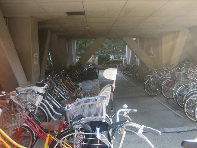 Other common areas. Covered bicycle shed!