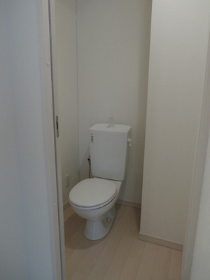 Toilet. Partition of the washroom is spacious space with sliding.