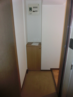 Entrance. Shoes BOX equipped